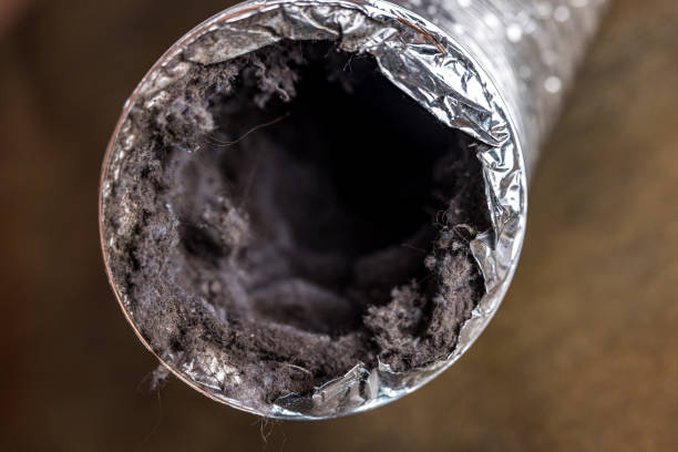 Best Emergency Air Duct Cleaning  in Glendora, NJ